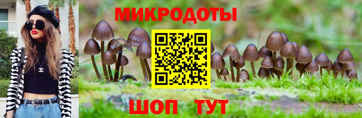 Псилоцибиновые грибы Cubensis  Вход с VPN  Тобольск 